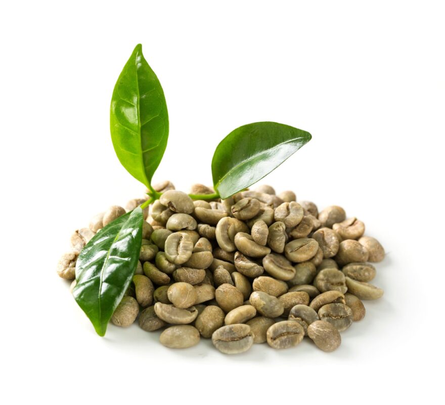 راهنمای جامع خرید و قیمت قهوه گرین بین