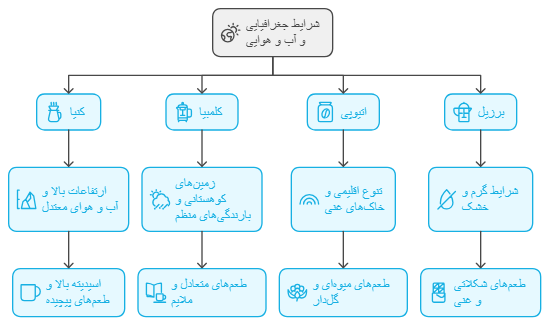 فرآیند درجه‌بندی قهوه در کشورهای مختلف